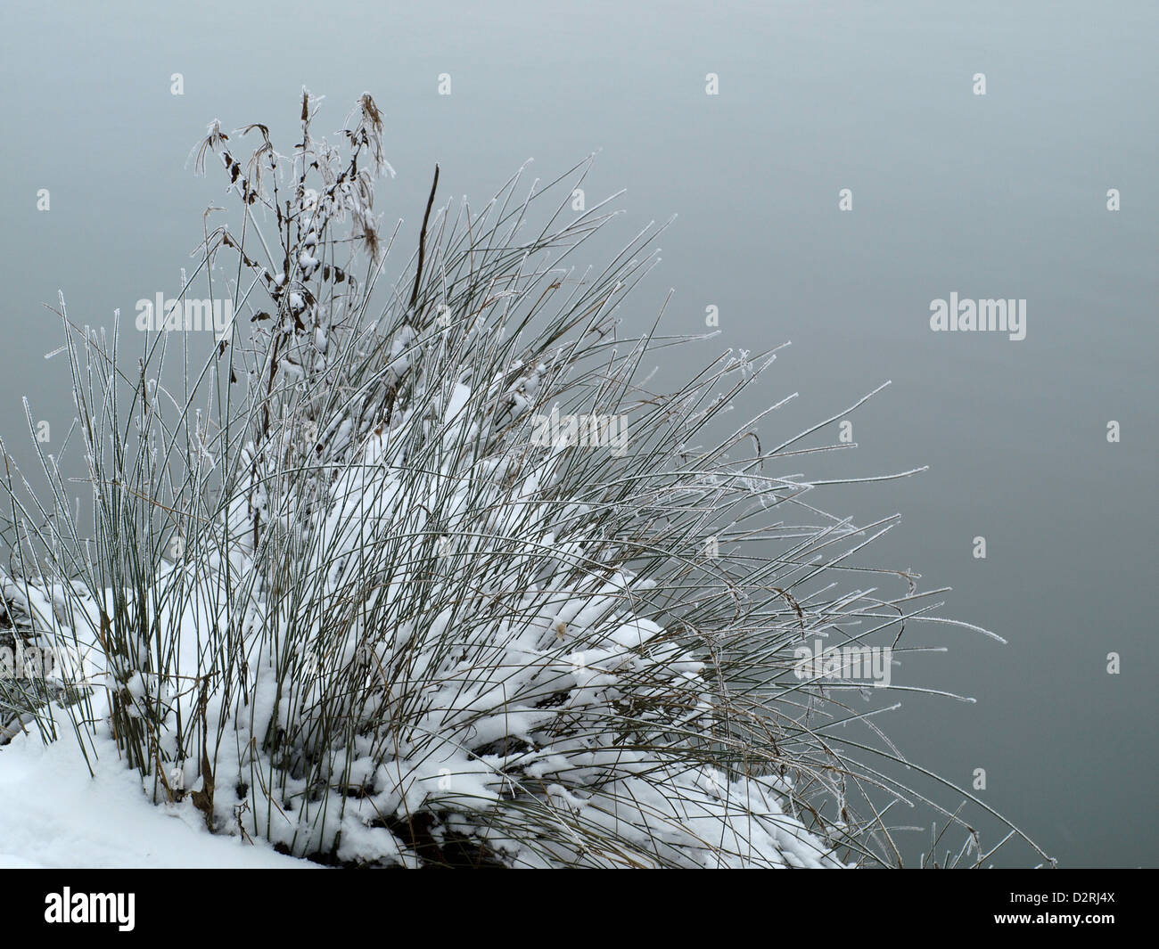 Une rivière gelée Banque D'Images