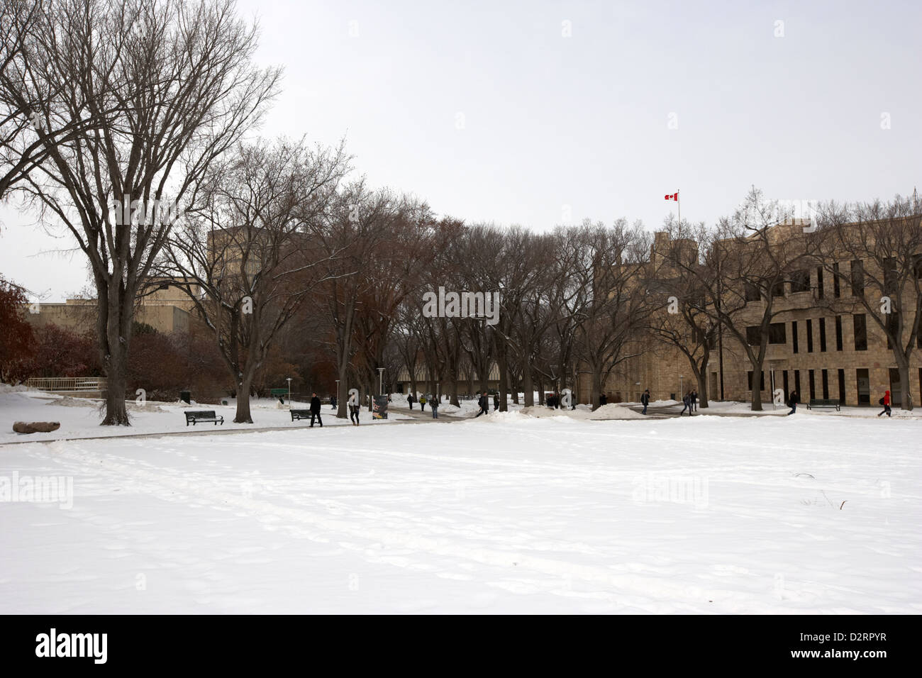 Le bol open space University of Saskatchewan Saskatoon en hiver Canada Banque D'Images