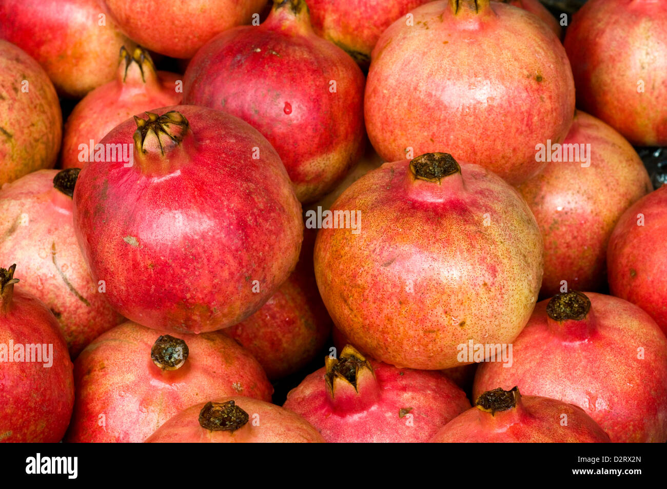 Les grenades, Port Louis, ile Maurice Banque D'Images