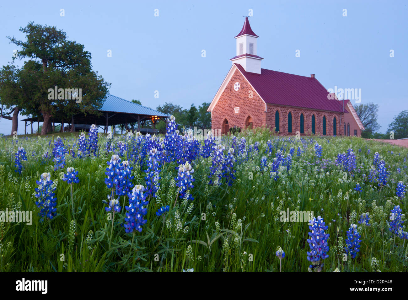 Art Église méthodiste et bluebonnets près de Mason, Texas Banque D'Images