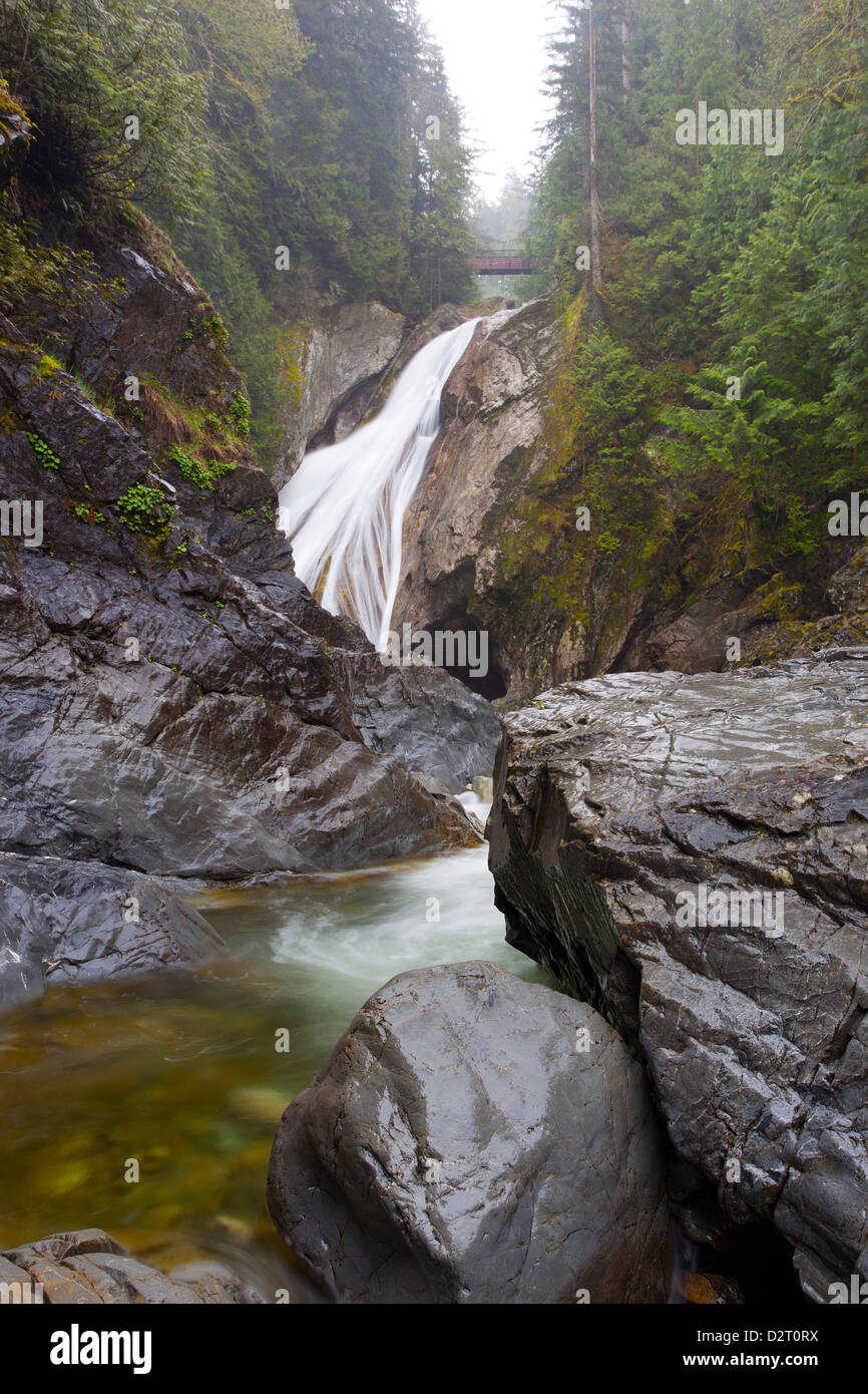 WA, Olallie State Park, Twin Falls, tombent sur la rivière Snoqualmie Banque D'Images