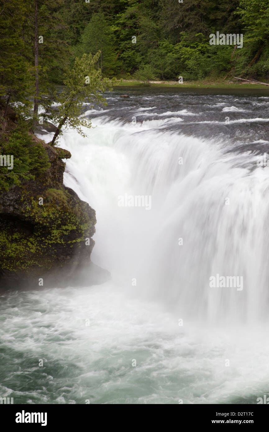 WA, Gifford Pinchot National Forest, Lewis, Lewis River Falls Cascade sur la tombe Banque D'Images