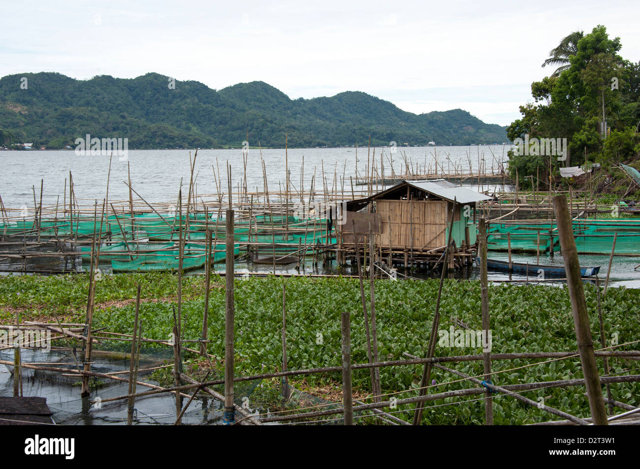 Lac Tondano, Sulawesi, Indonésie, Asie du Sud, Asie Banque D'Images