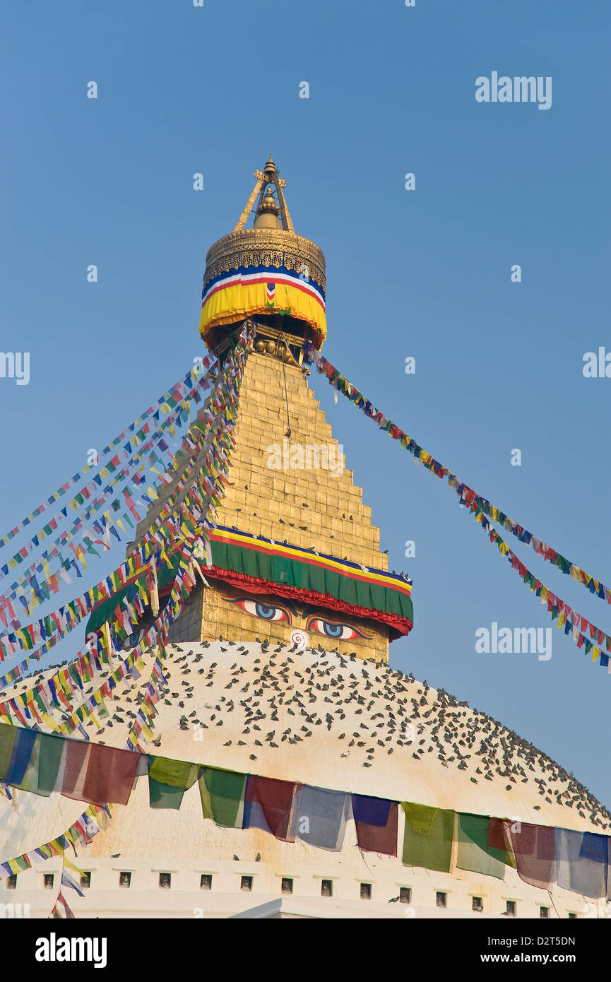 Boudhanath, UNESCO World Heritage Site, Katmandou, Népal, Asie Banque D'Images