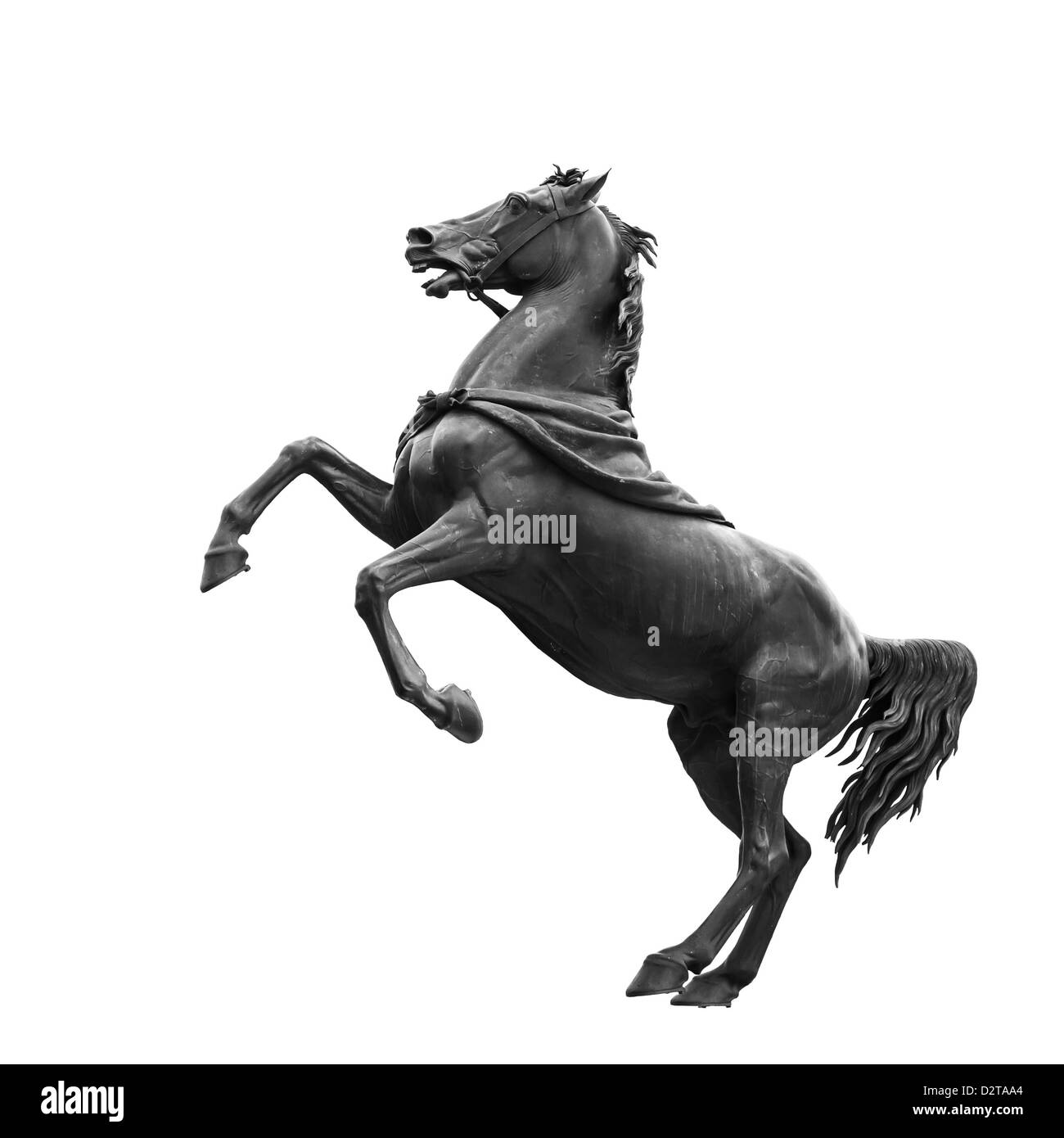 Isolé sur blanc noir horse sculpture, conçu par le sculpteur, le Baron Peter Klodt von Urgensburg en 1841. St.Petersburg Banque D'Images