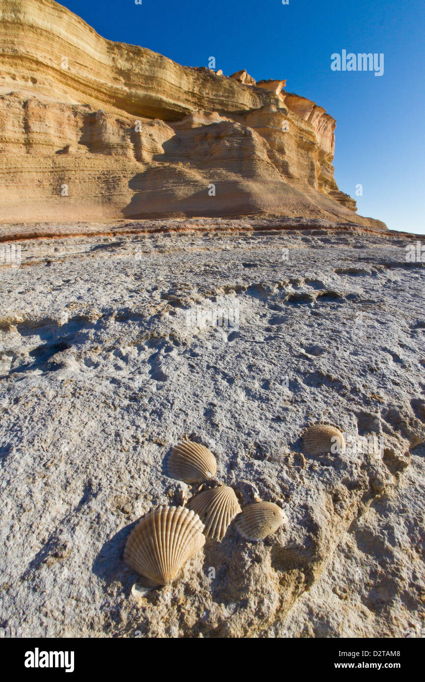 Punta Colorado, Isla San Jose, Golfe de Californie (Mer de Cortez), Baja California Sur, au Mexique, en Amérique du Nord Banque D'Images