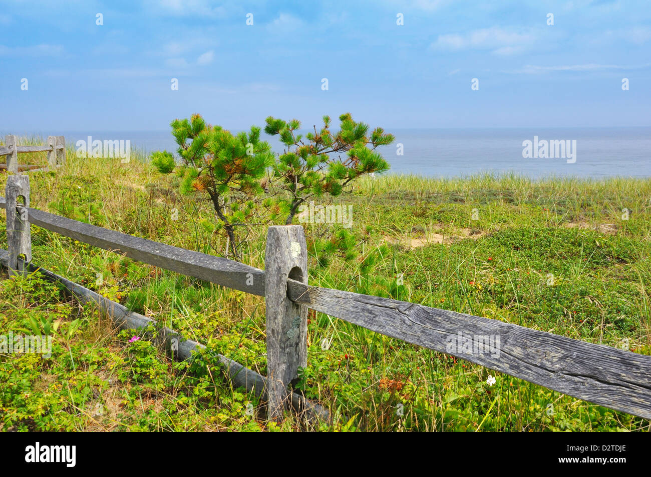 Marconi Beach, Cape Cod, Massachusetts, USA Banque D'Images