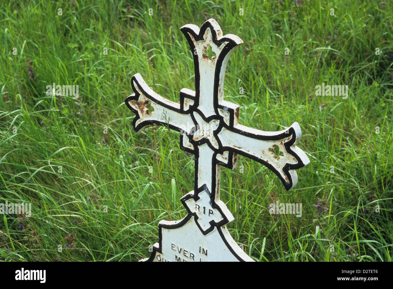 Détail metal pierre tombale croix de Malte peint en blanc et noir dans le domaine de l'herbe longue rétroéclairé Banque D'Images