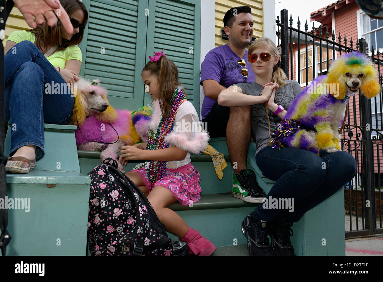 Mardi gras parade de chiens la Nouvelle Orléans en Louisiane Banque D'Images