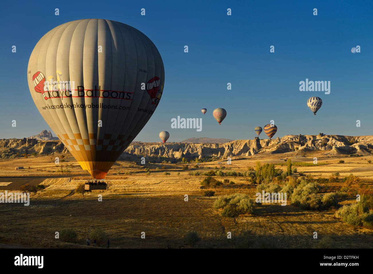 Hot Air Balloon landing dans les champs agricoles à la vallée de l'amour et du parc national de Göreme Turquie nevsehir Cappadoce avec lune Banque D'Images
