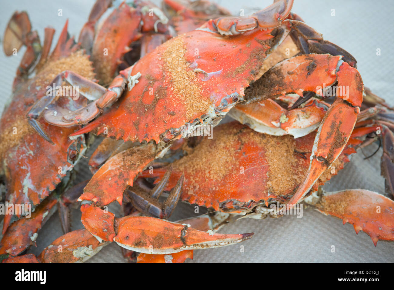 Les crabes à la vapeur avec assaisonnement Old Bay sur une jetée par le rivage Banque D'Images