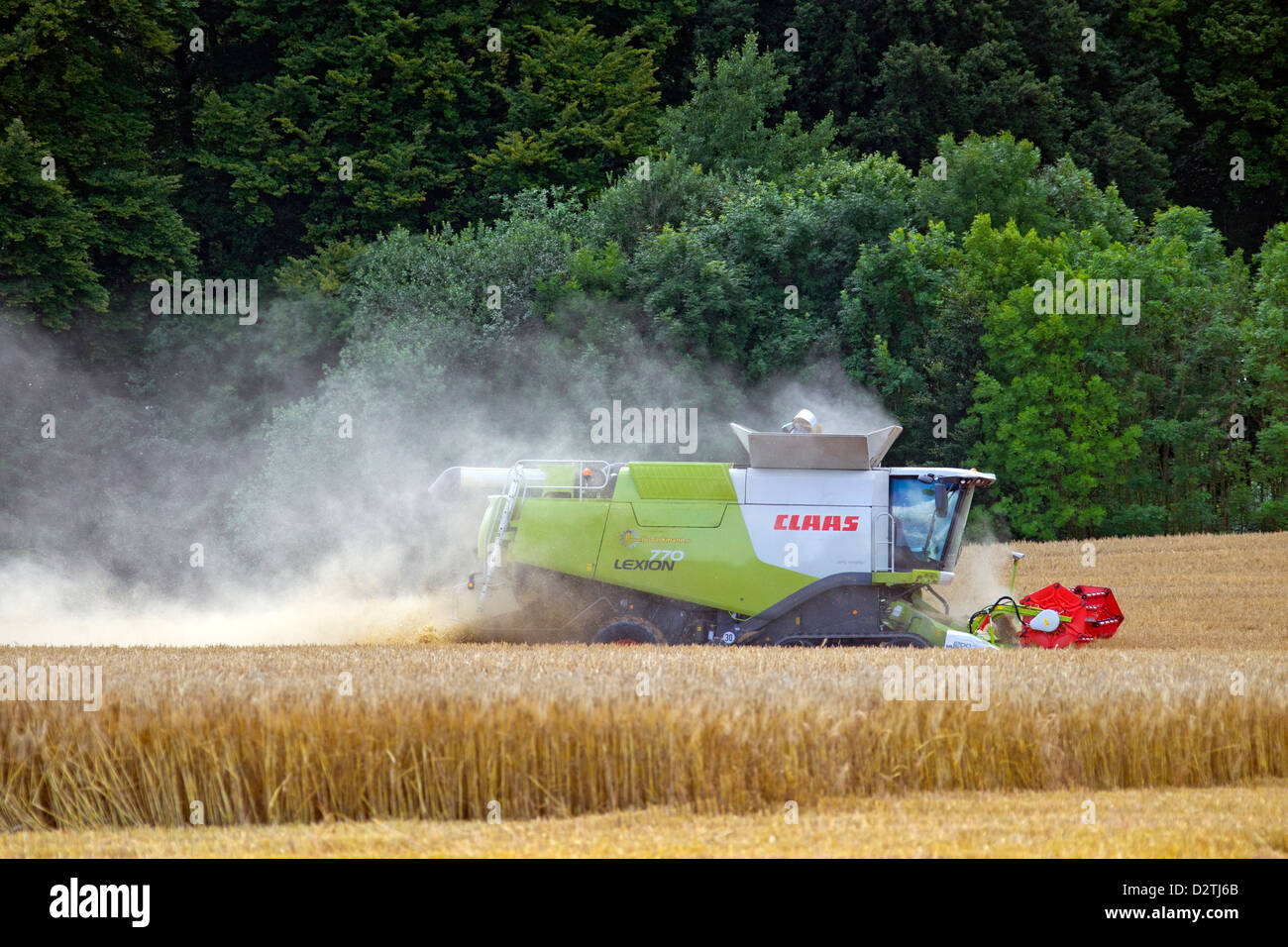Agriculteur de moissonneuse-batteuse, la récolte de céréales de blé / blé domaine des terres agricoles de l'été Banque D'Images