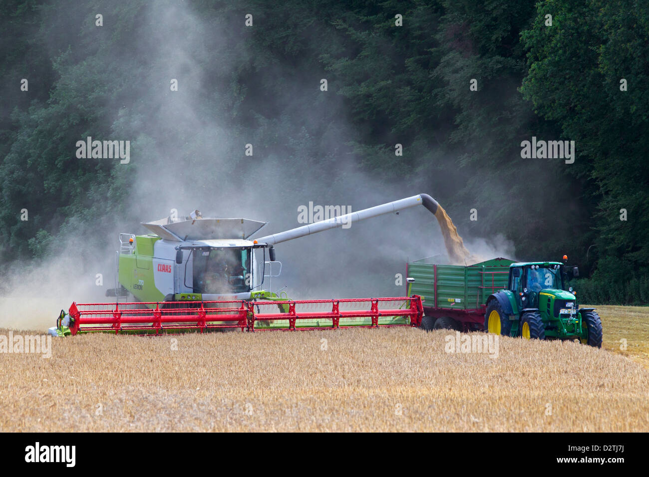 Agriculteur de moissonneuse-batteuse, la récolte de céréales de blé / blé domaine des terres agricoles de l'été Banque D'Images