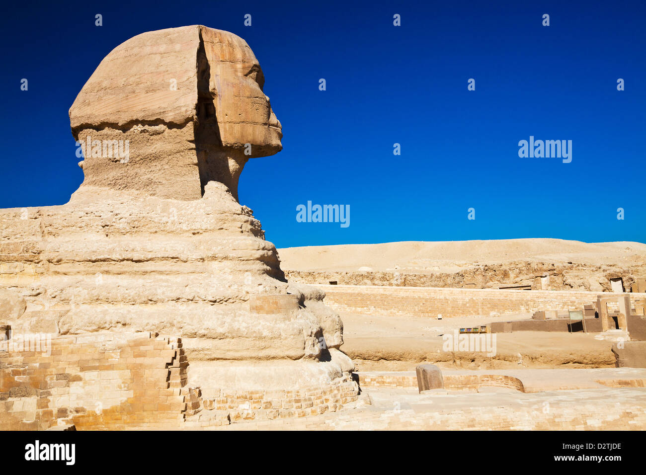Le Sphinx de la nécropole sur le plateau de Gizeh, près du Caire, Egypte Banque D'Images
