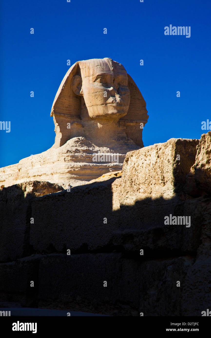 Le Sphinx de la pyramide complexe ou sur le plateau de Gizeh nécropole près du Caire, Egypte Banque D'Images