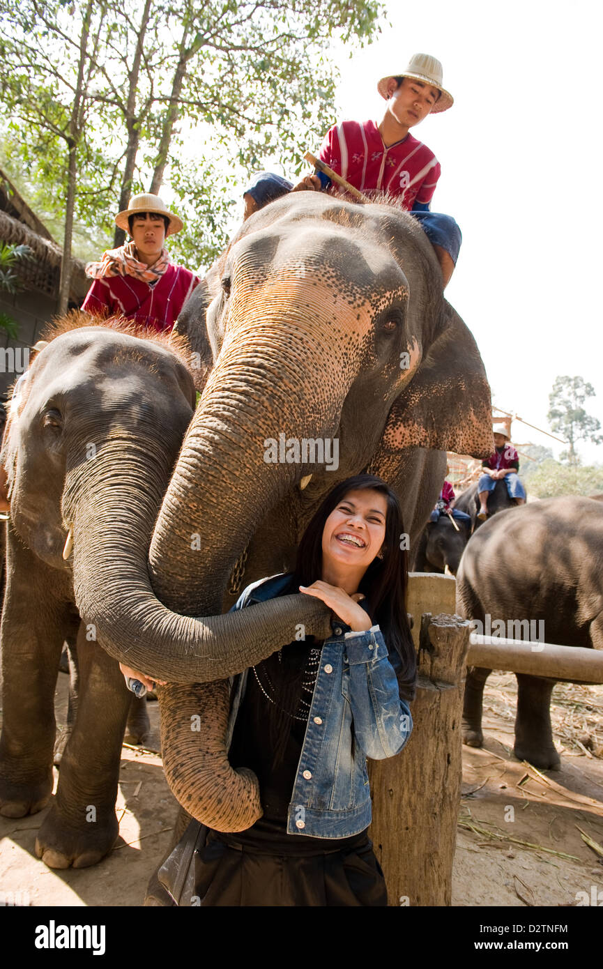 Chiang Mai, Thaïlande, les éléphants embrasser les visiteurs avec leurs malles Banque D'Images Chiang Mai, Thaïlande, les éléphants embrasser les visiteurs avec leurs malles Banque D'Images