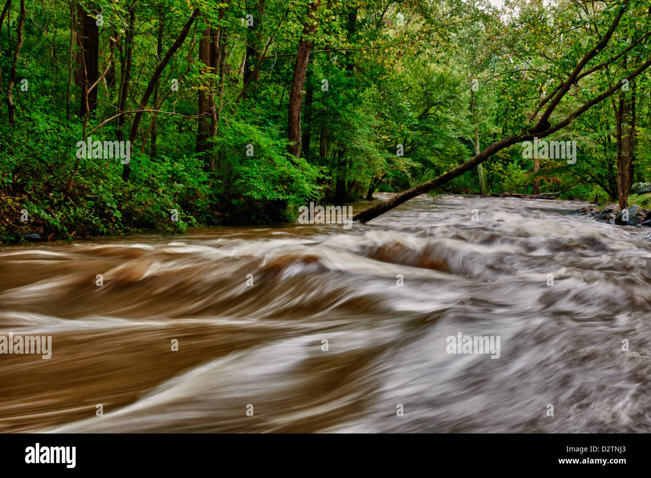 Les inondations le long de la rivière Brandywine Creek/Chester Comté PA. Banque D'Images