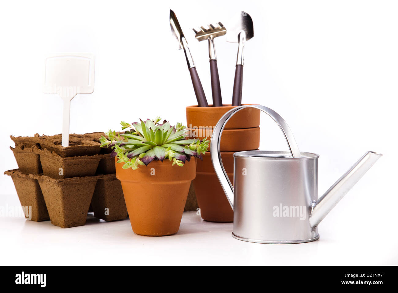Arrosoir, de plantes et d'outils de jardinage Banque D'Images