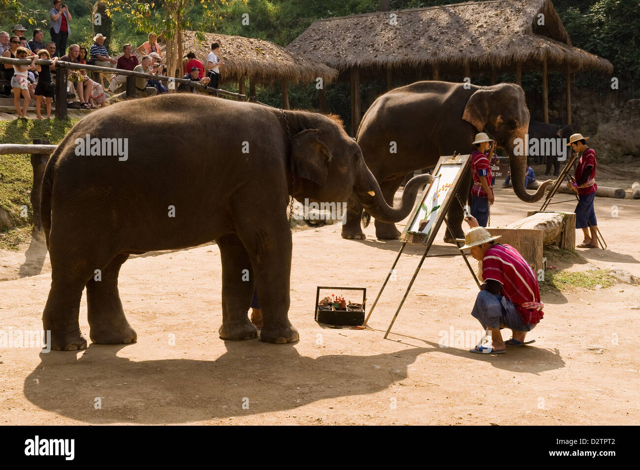 Chiang Mai, Thaïlande, les éléphants et leurs malles à peindre des toiles de fleurs Banque D'Images Chiang Mai, Thaïlande, les éléphants et leurs malles à peindre des toiles de fleurs Banque D'Images
