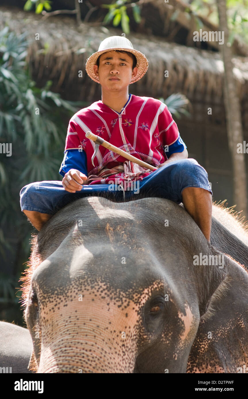 Chiang Mai, Thaïlande, les infirmières assis sur un éléphant Banque D'Images Chiang Mai, Thaïlande, les infirmières assis sur un éléphant Banque D'Images
