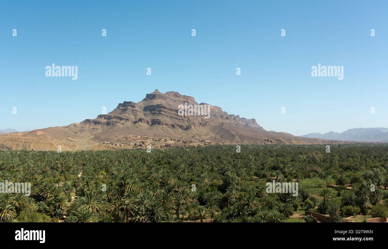 Palmiers de la vallée du Draa près de Gebel Kissane dans la région d'Agdz, Zagora, Province du Maroc, l'Afrique du Nord Banque D'Images