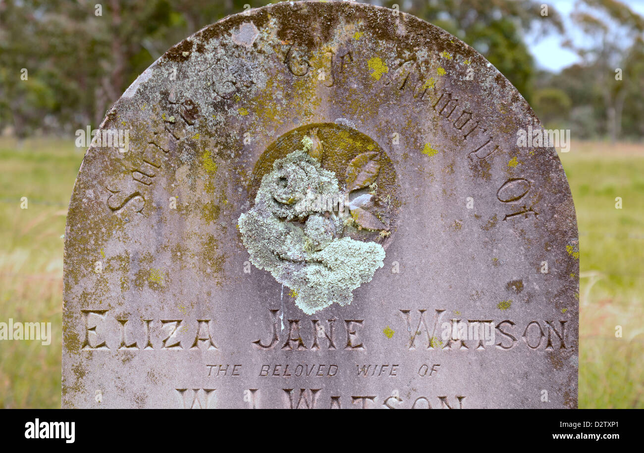 Mousse sur pierre tombale, cimetière de Dundee Australie Banque D'Images