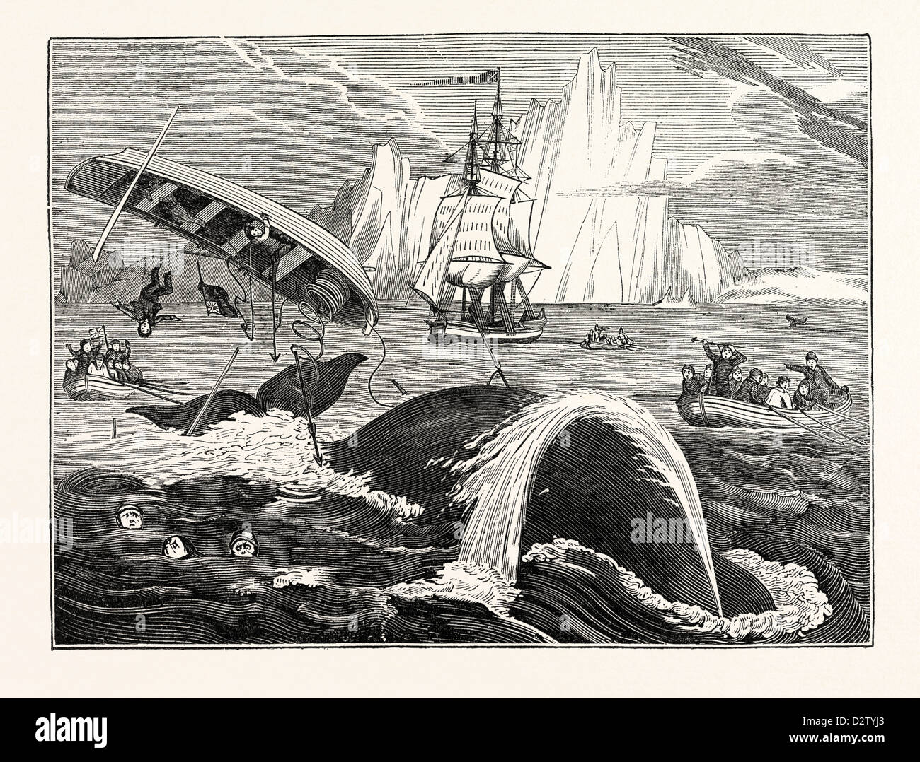 Dangers de la pêche des baleines Banque D'Images