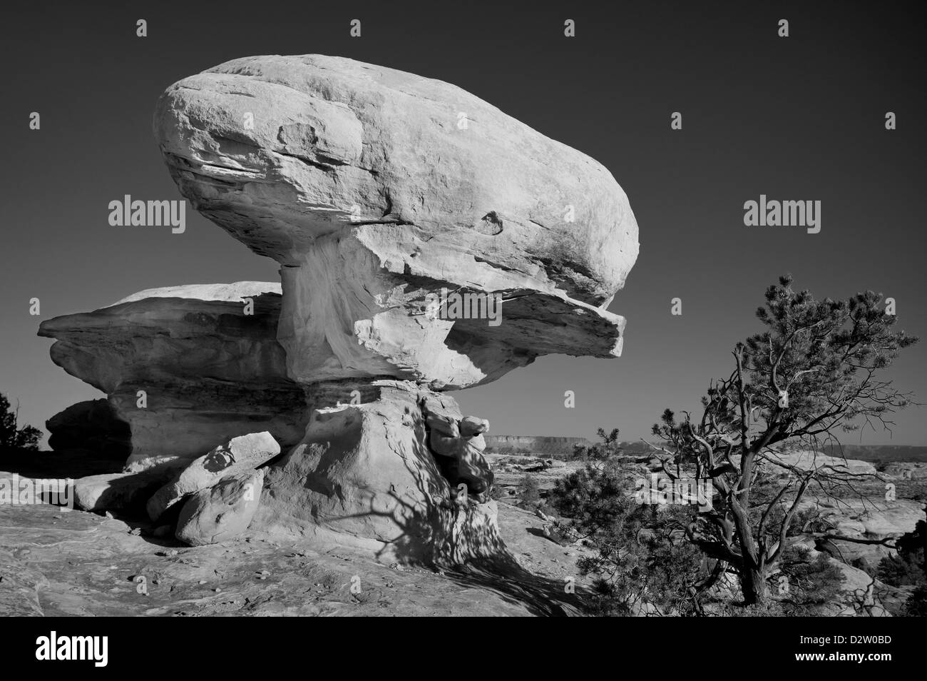 UTAH - butte de grès érodé le long de la route d'accès Elephant Hill dans les aiguilles District de Canyonlands National Park. Banque D'Images