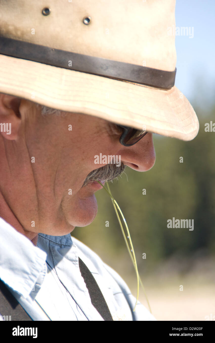 Guide de pêche préparation pour attacher un chef à une ligne de mouche. Banque D'Images