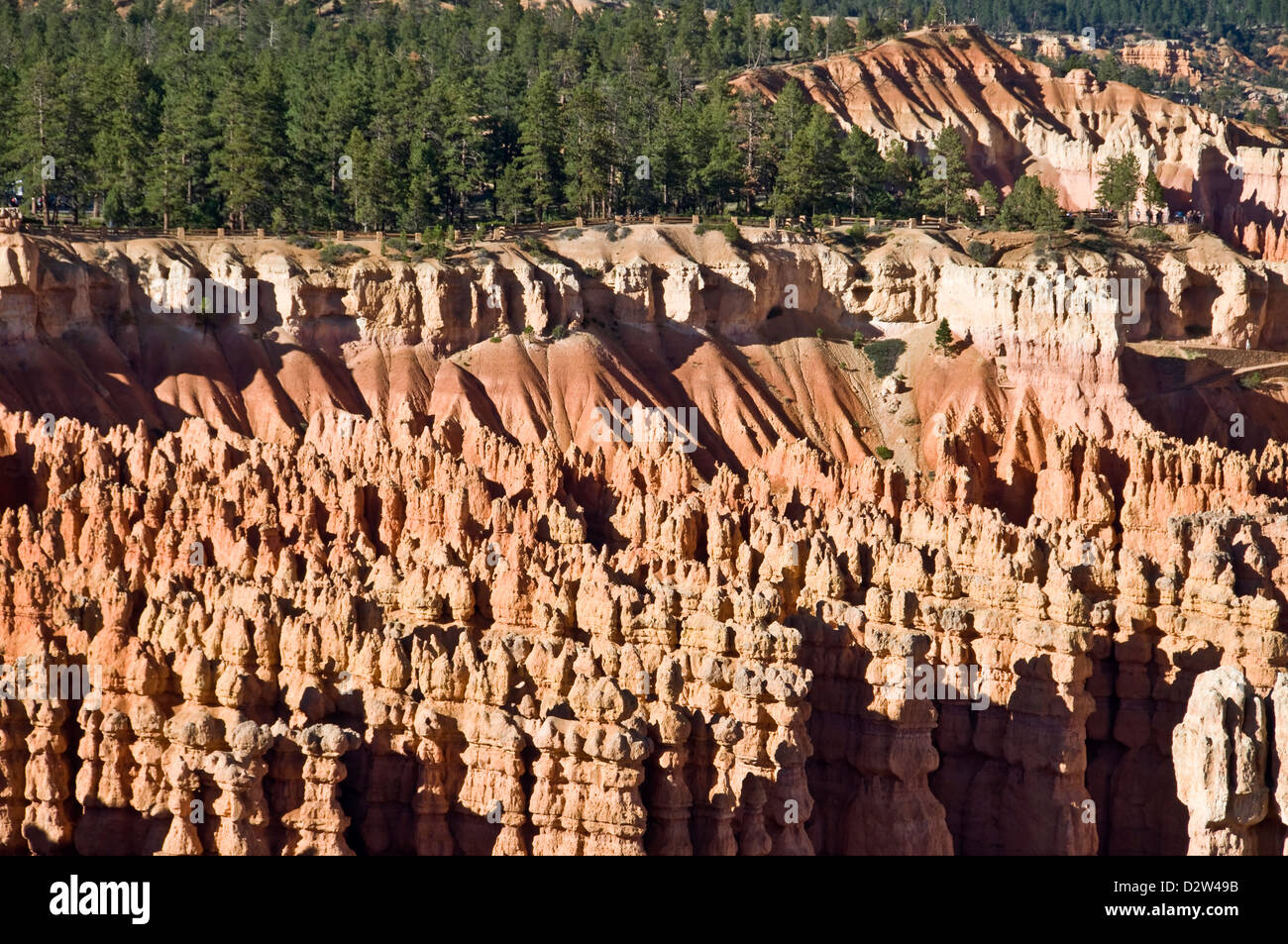 Le parc national de Bryce Canyon, vue de Sunset point, Utah, USA Banque D'Images