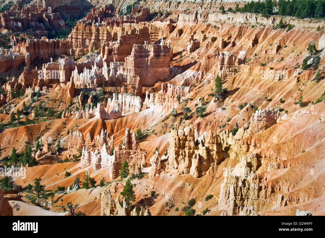 Le parc national de Bryce Canyon, vue de l'aube point, Utah, USA Banque D'Images