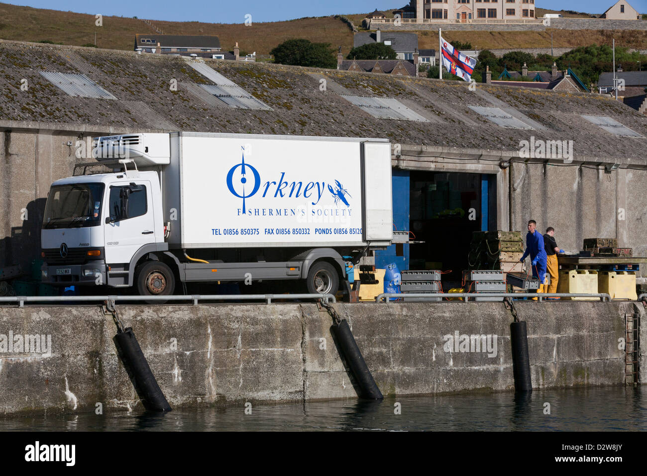 Les pêcheurs de poissons de charge sur un camion sur le quai de Stromness, Orkney en Ecosse Banque D'Images