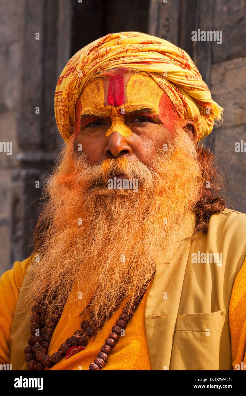 Sadhu (saints hommes) au temple de Pashupatinath à Katmandou, au Népal. Banque D'Images