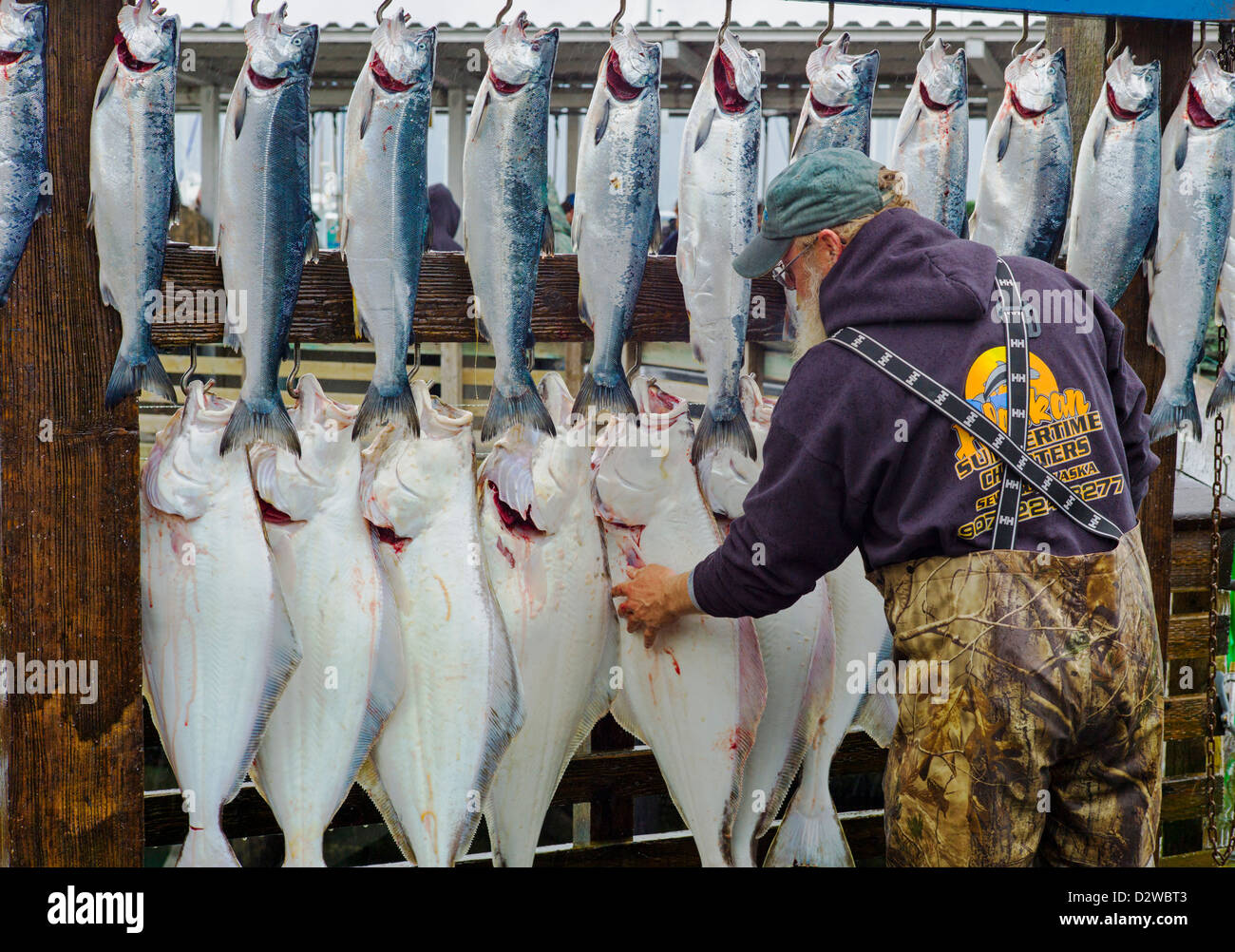 Les capitaines de bateau de pêche de location accrocher la prise du jour  pour client des photographies, Seward, Alaska, USA Photo Stock - Alamy