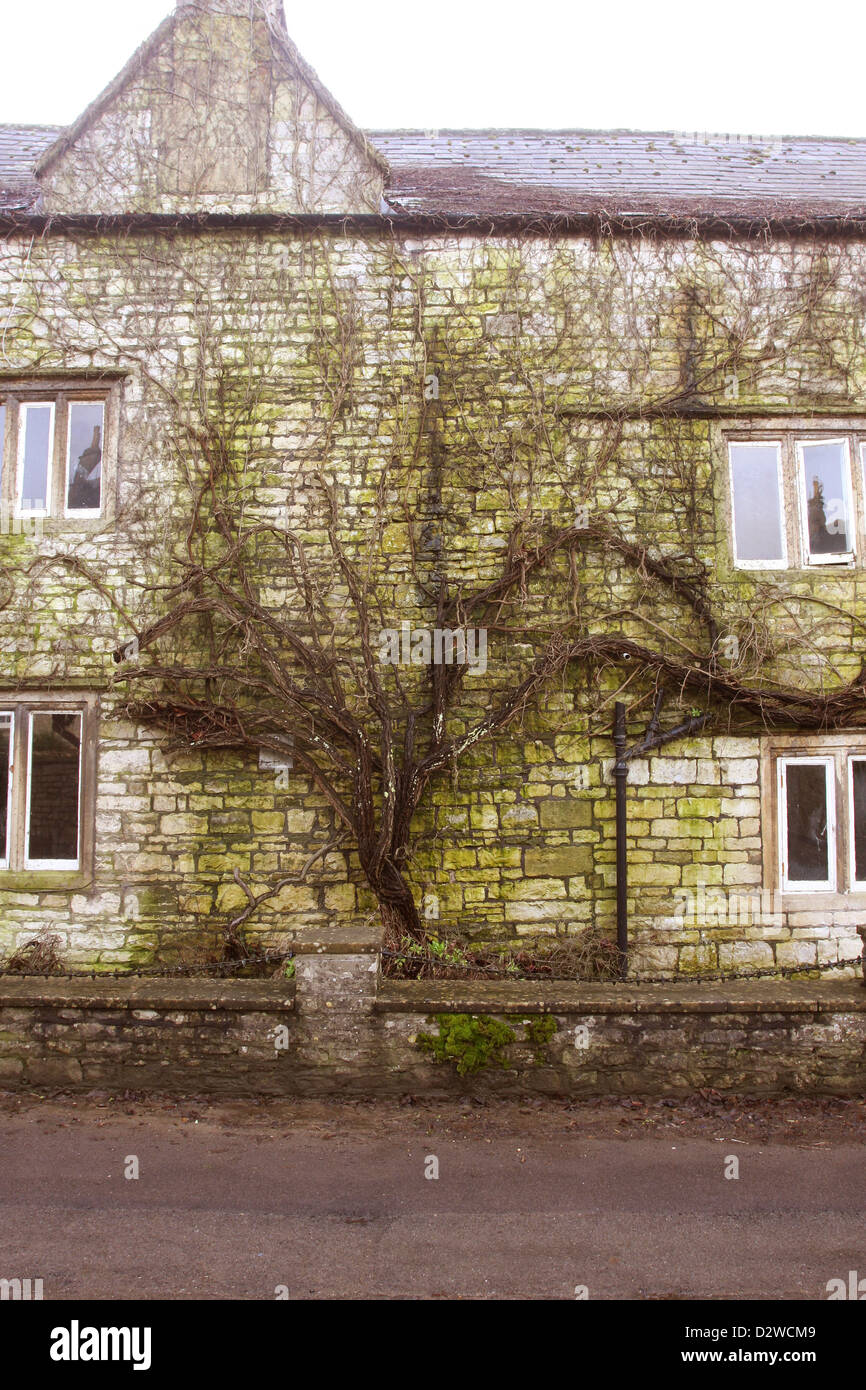 Vieux cottages en Newton St Loe, presque un village préservé près de Bath Banque D'Images