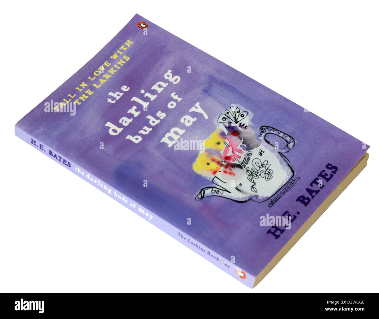 Le Darling Buds de mai par IL Bates Banque D'Images