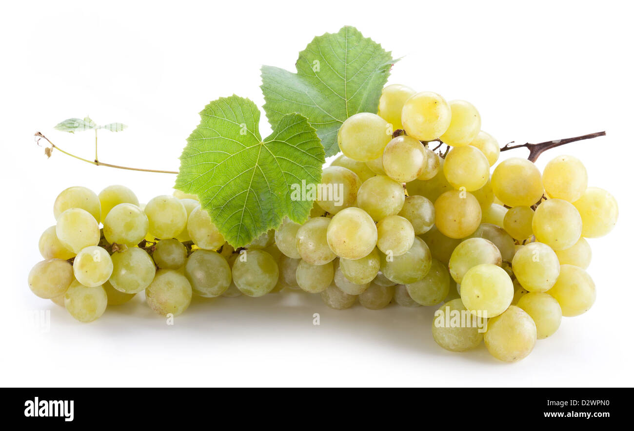 Grappe de raisin sur un fond blanc. Banque D'Images