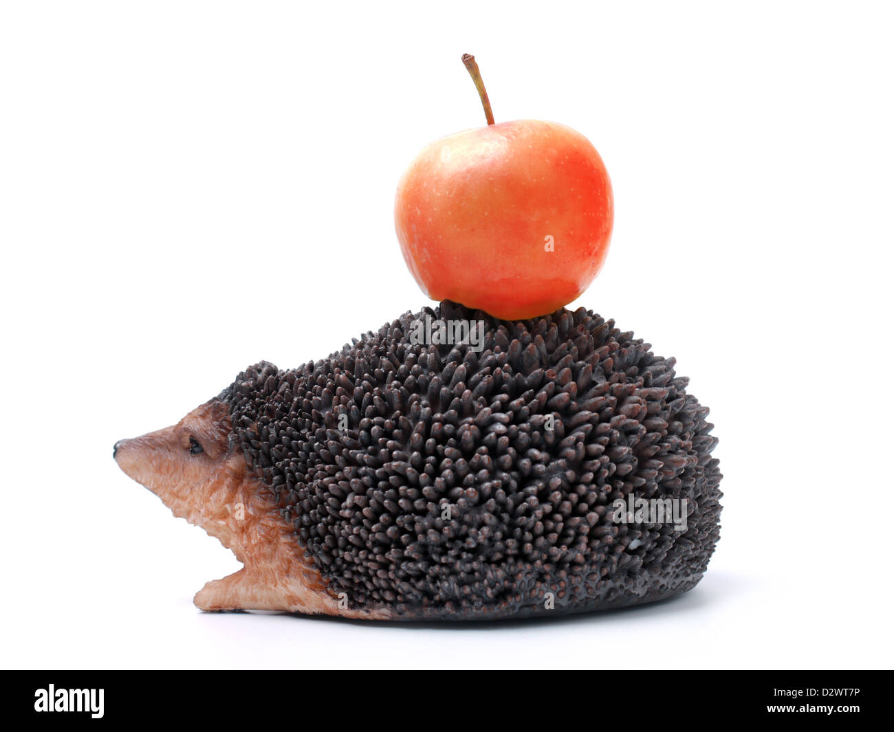 Hedgehog pomme rouge transportant sur son dos sur fond blanc Banque D'Images