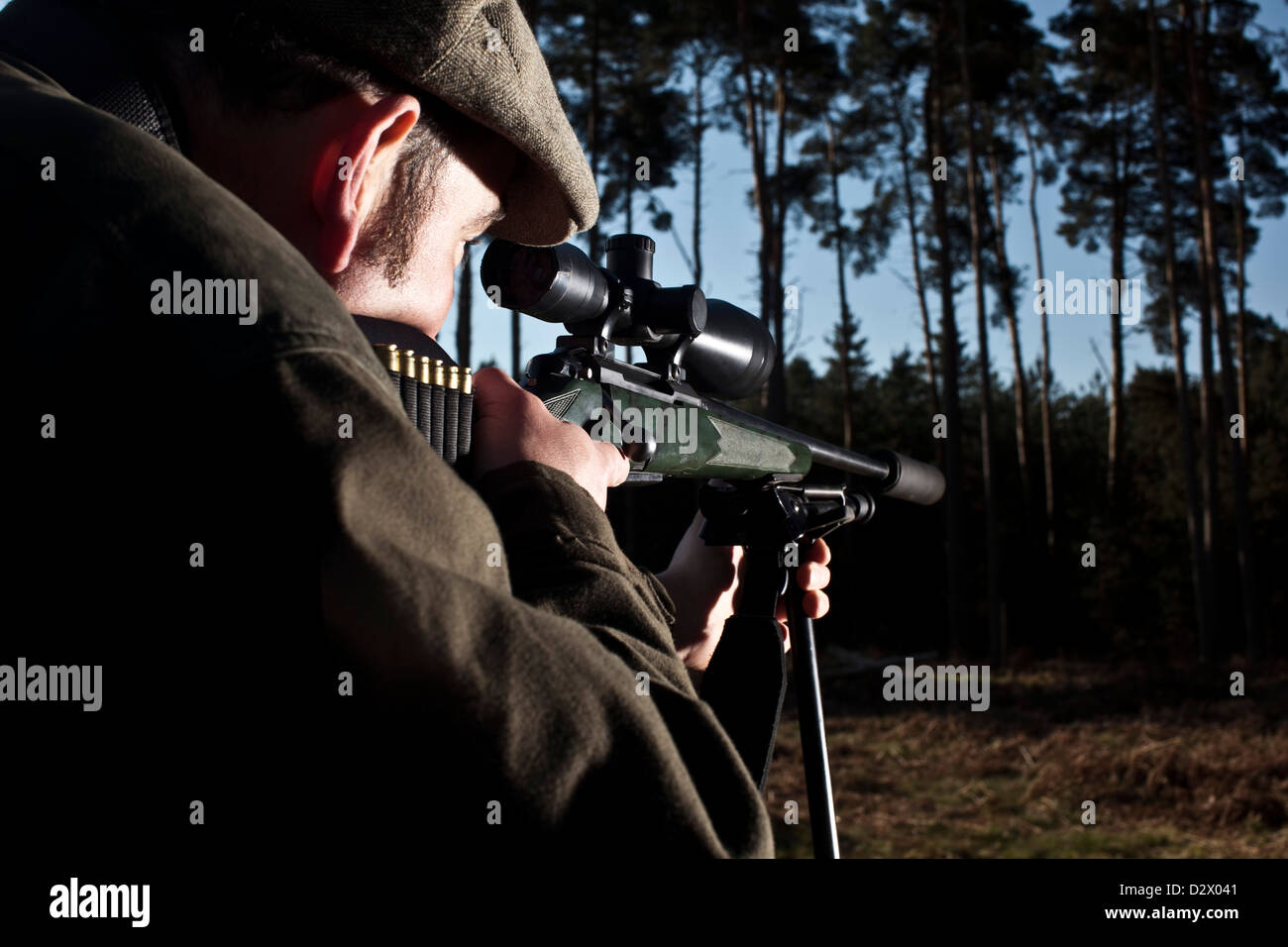 Canon Deer Hunter visant dans la forêt de Thetford, UK Banque D'Images