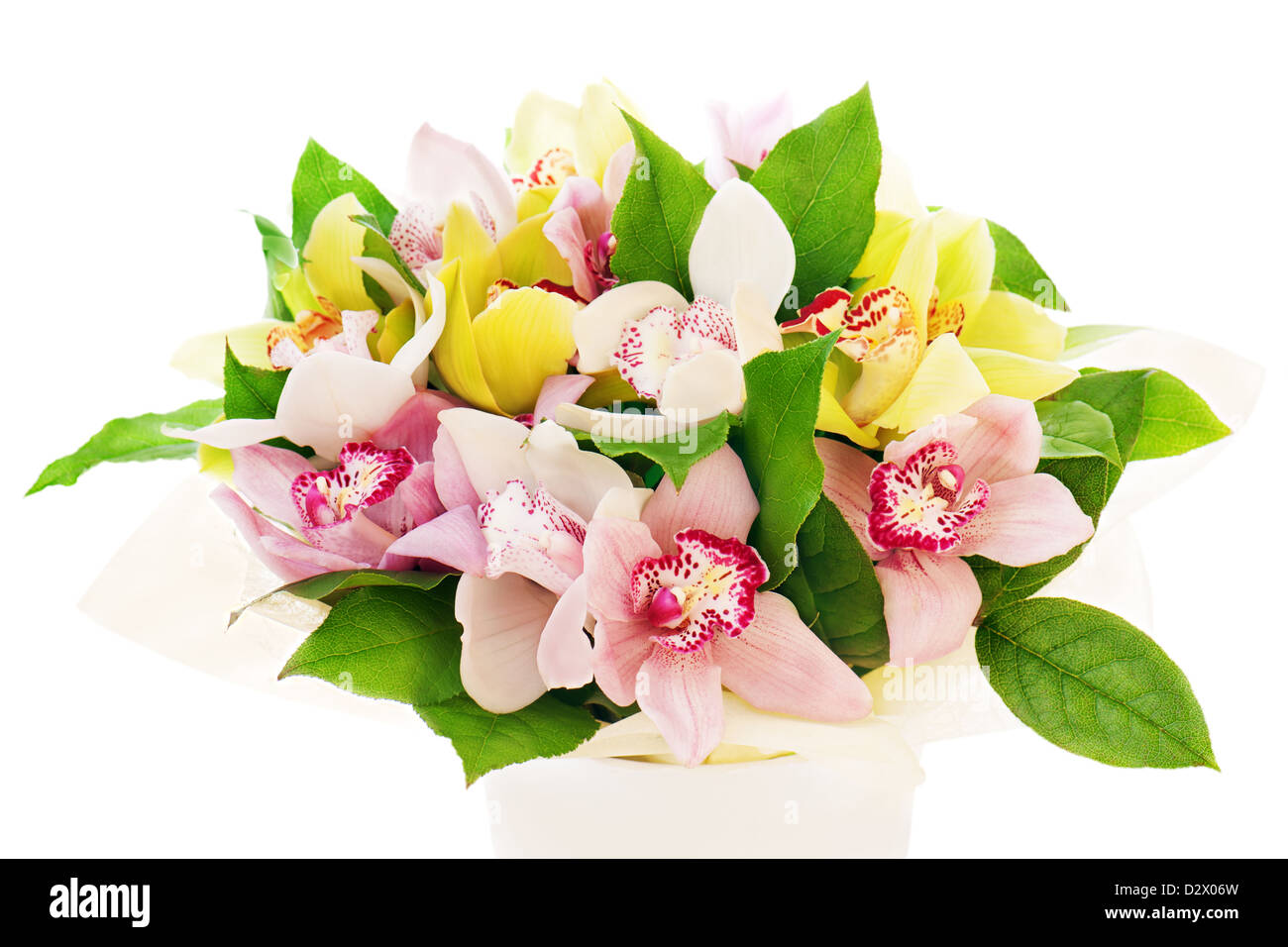 Bouquet De Fleurs Colorées De Larrangement Dorchidées En