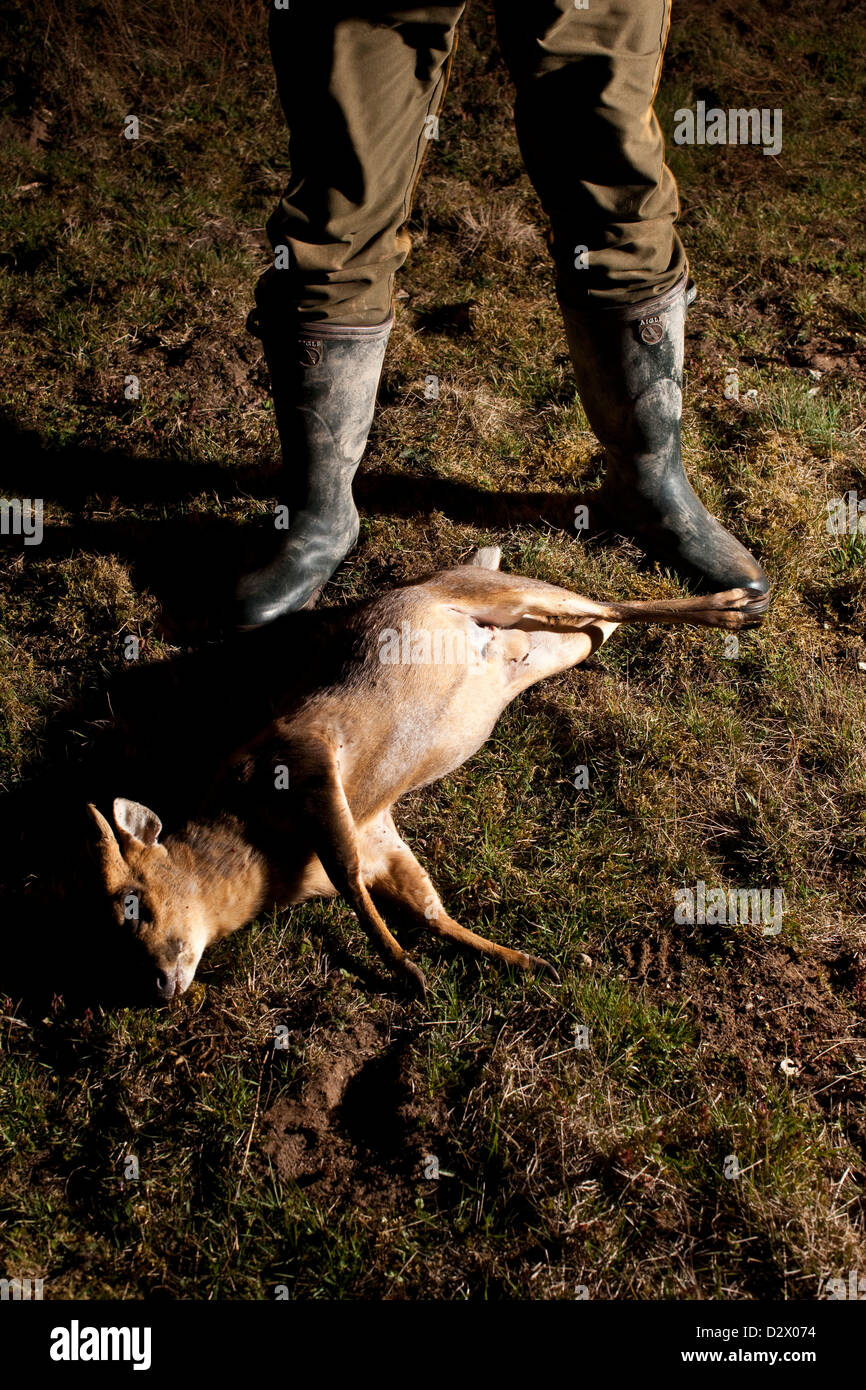 Les chasseurs de chevreuil mort et bottes, la forêt de Thetford, UK Banque D'Images