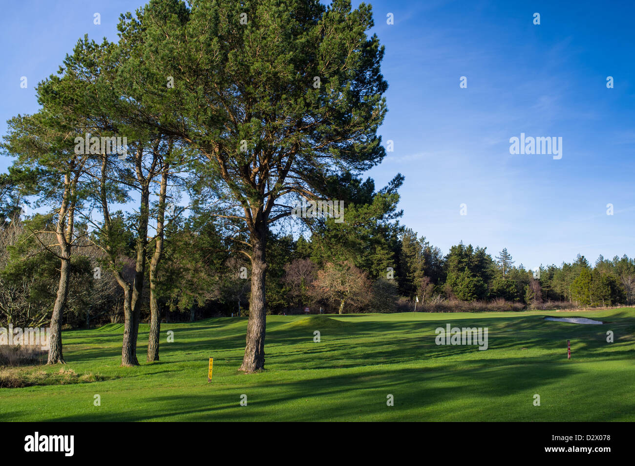 Teignmouth, Devon, Angleterre. Parcours de golf sur un après-midi d'hiver avec ciel bleu. Banque D'Images