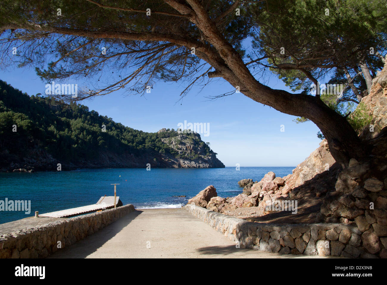 Paysage marin méditerranéen pin Cala Tuent Serra Tramuntana Majorque Espagne Baléares Banque D'Images