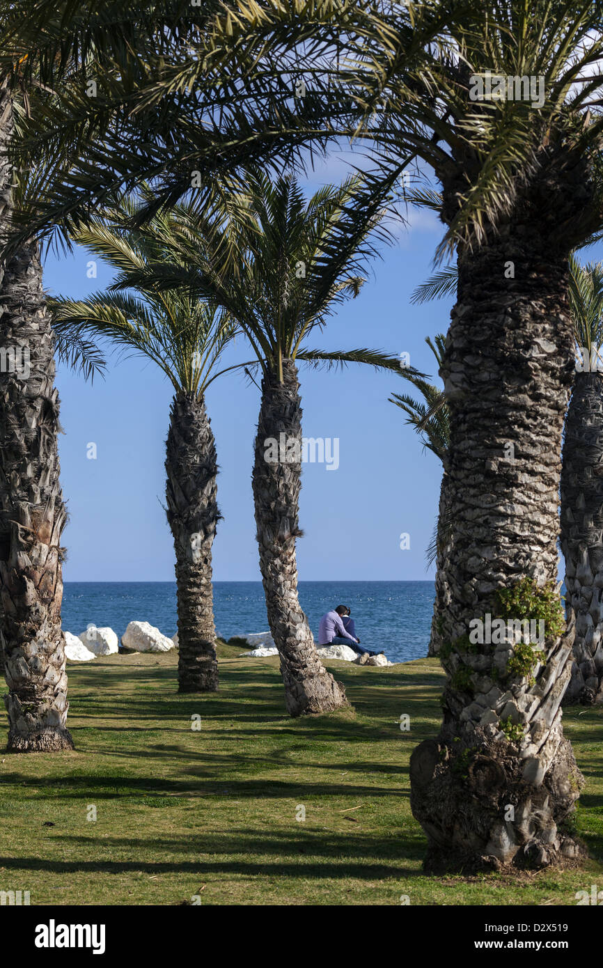 Deux personnes embrassant au milieu de palmiers à Beach park à Torremolinos Costa del Sol Espagne du Sud Banque D'Images