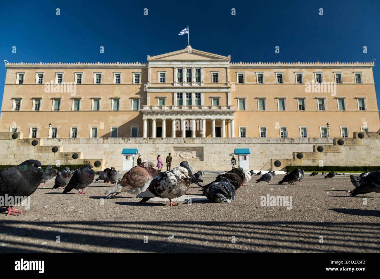 Les pigeons en face de la Tombe du Soldat inconnu en face du parlement grec, place Syntagma, Athènes, Grèce. Banque D'Images