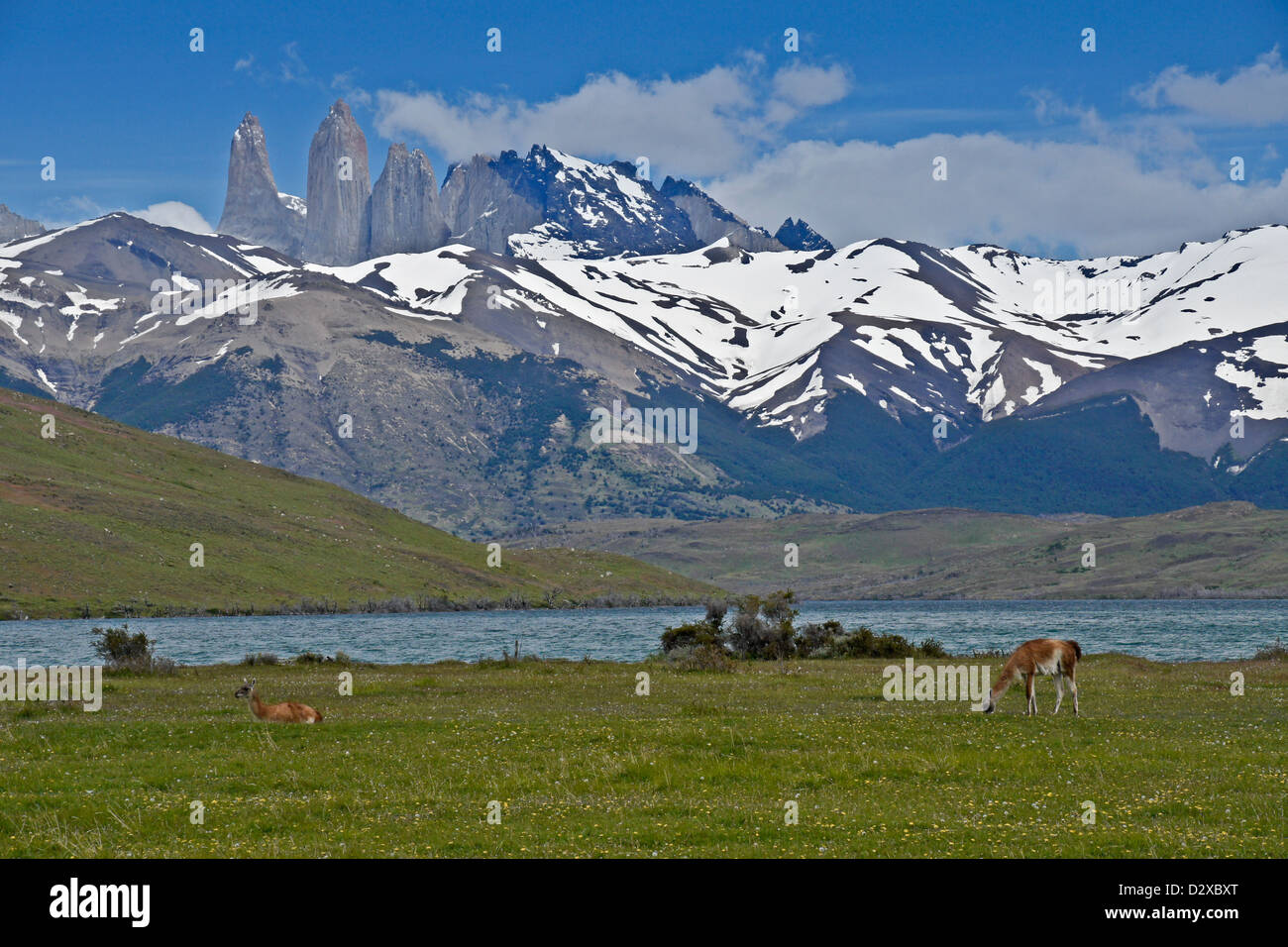 Laguna Azul et Los Torres, Parc National Torres del Paine, Patagonie, Chili Banque D'Images
