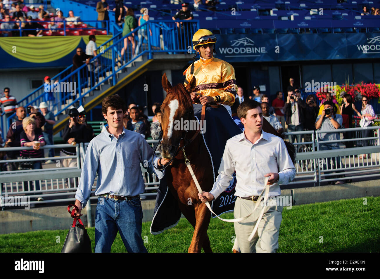 Sage Dan (3) avec John jockey Valazquez le cercle des gagnants après avoir remporté l'Enjeu (Grade I) à Woodbine Race Banque D'Images