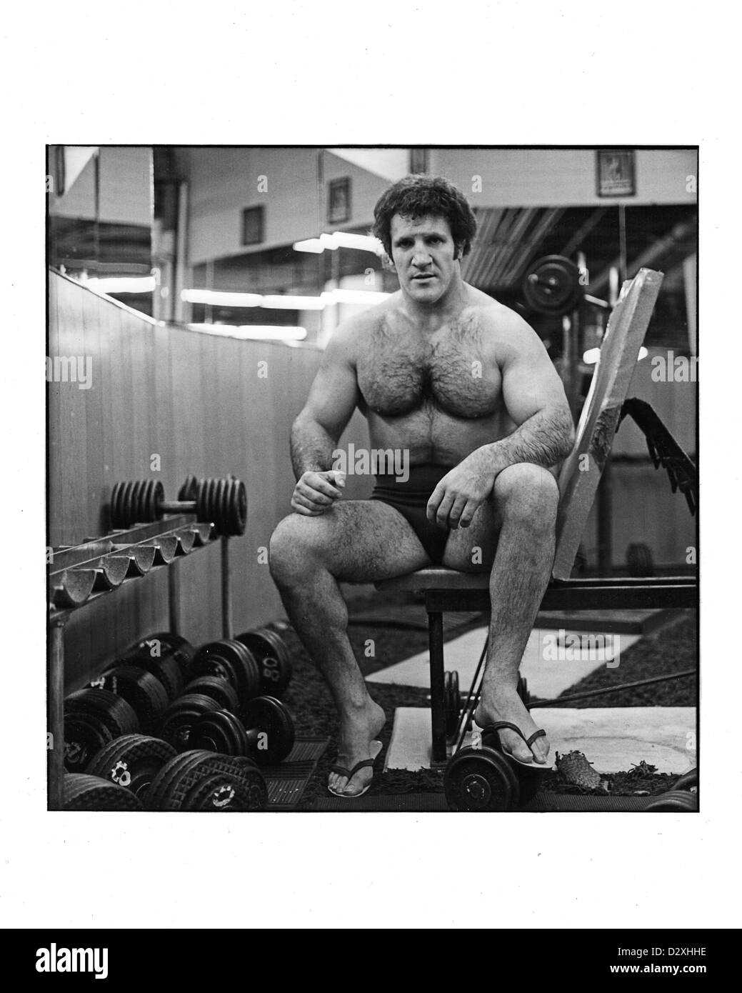 Bruno Sammartino, champion de lutte, pose pour un portrait lors d'une séance d'entraînement au Mid City Health Club de New York. Banque D'Images