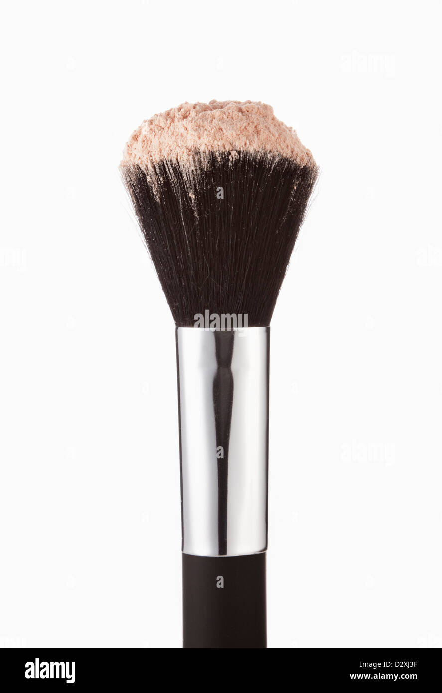 Close up de blush poudre sur pinceau à maquillage Banque D'Images