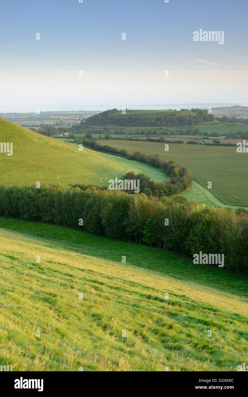 Cadbury Castle sur un matin clair dans le Somerset, Royaume-Uni. Banque D'Images